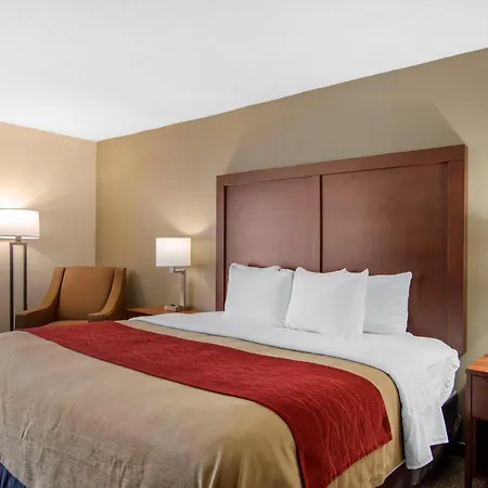 Comfort Inn Chester - Richmond South-2